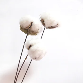 10pcs sušené umelý kvet kytice sušené bavlna pobočky kvetinové kytice, pre domáce dekorácie 0