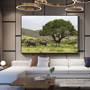 Lesné Lúky Tropické Stenu Africký Slon Zviera Živé Akčný Nábytok Dekor Pozadí Steny Dector Nástenná Maľba Maľba Na Plátno
