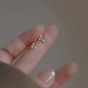 Kórejský Módne Kúzlo Star Stud Náušnice Pre Ženy 2022 Nové Trendy Jednoduché Meteor Šperky Lete Ear Piercing Príslušenstvo