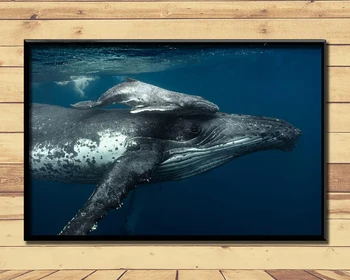 Hrbáč Veľryba Divoký Obrie Morské Zviera (9) Nástenné Plagáty Vytlačí Hodváb Umelecká Maľba Na Steny Domov Spálňa Decor
