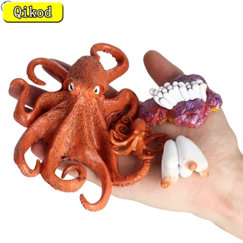 More Simulácia Života Morských Živočíchov Squid Octopus Cyklu Rastu Model Akčná Figúrka Postavy Dieťa Darčeky Vzdelávania Detí, Hračky 0
