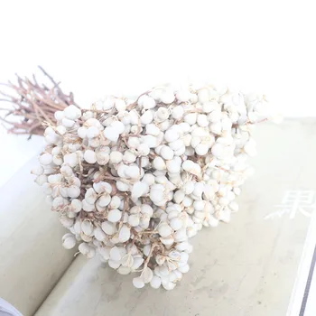 Skutočné Mini Ovocie Weddinng Usporiadanie Dekorácie Biele Ovocie Prírodné Sušené Malé Kvetinové Kytice Pre Domáce Obývacia Izba Dekor