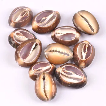 5 ks Prírodné rez shell Scrapbooking Remeslá remeselné mušlí pre Šperky robiť 2-3.5 cm TRS0295
