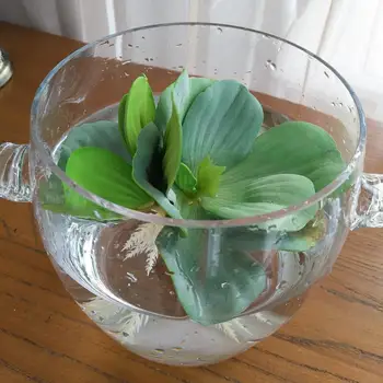 15 CM 9 CM Umelá Mini Lotus Leaf akvárium Plávajúce Falošný Rastliny Plastové Vody Trávy Bazén Akvárium DIY Domáce Party Dekor Rekvizity