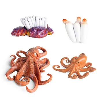 More Simulácia Života Morských Živočíchov Squid Octopus Cyklu Rastu Model Akčná Figúrka Postavy Dieťa Darčeky Vzdelávania Detí, Hračky 1